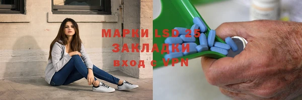 индика Абинск